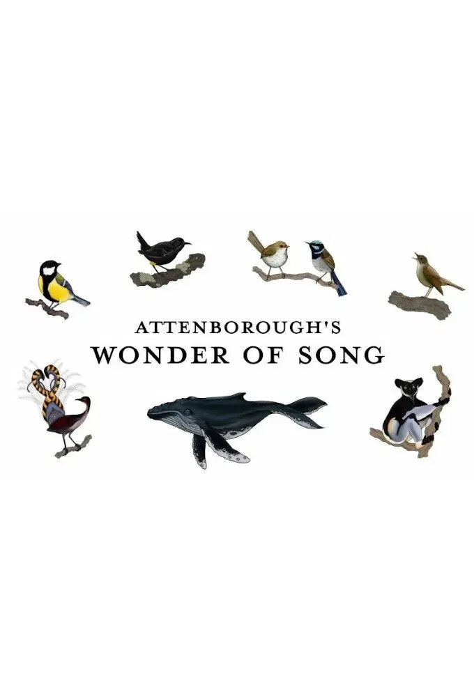Poster of the movie Attenborough's Wonder of Song