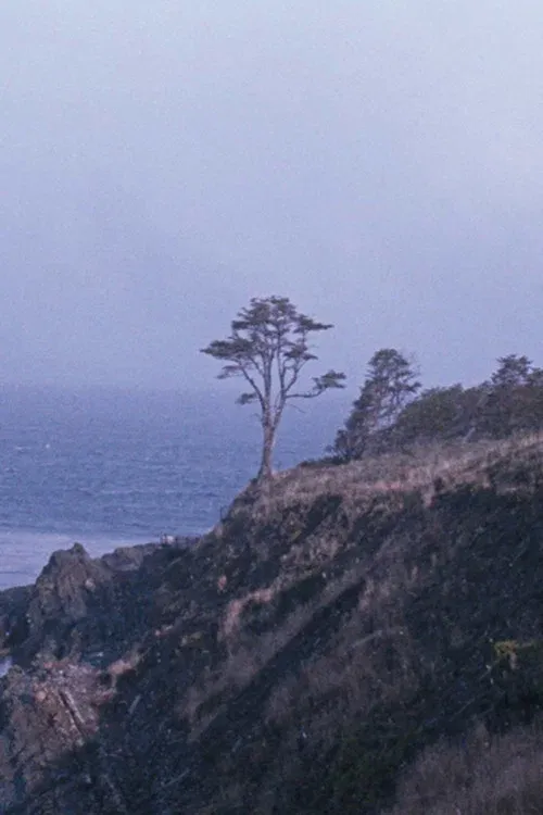 Poster for The Tree