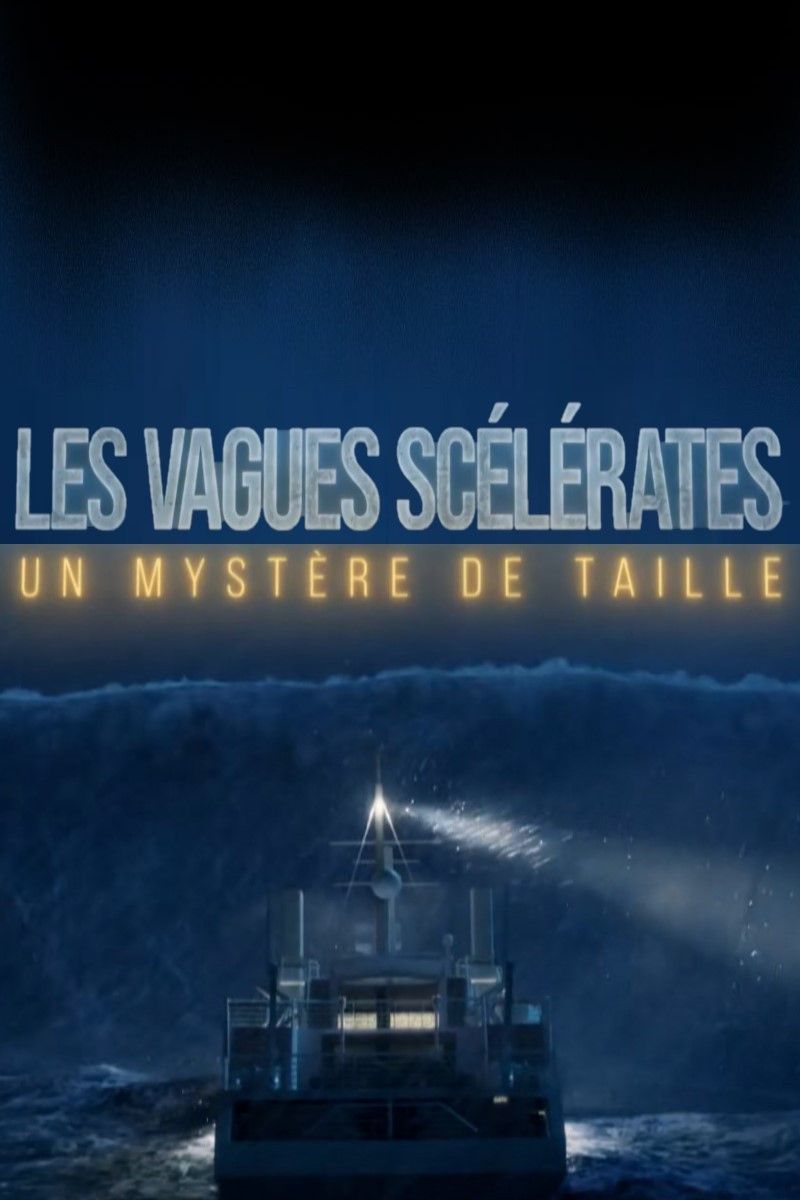 Poster of the movie Les vagues scélérates un mystère de taille
