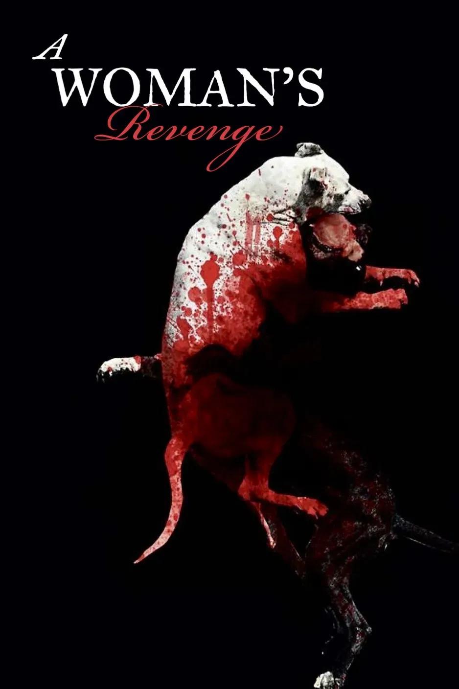Poster of the movie A Woman's Revenge