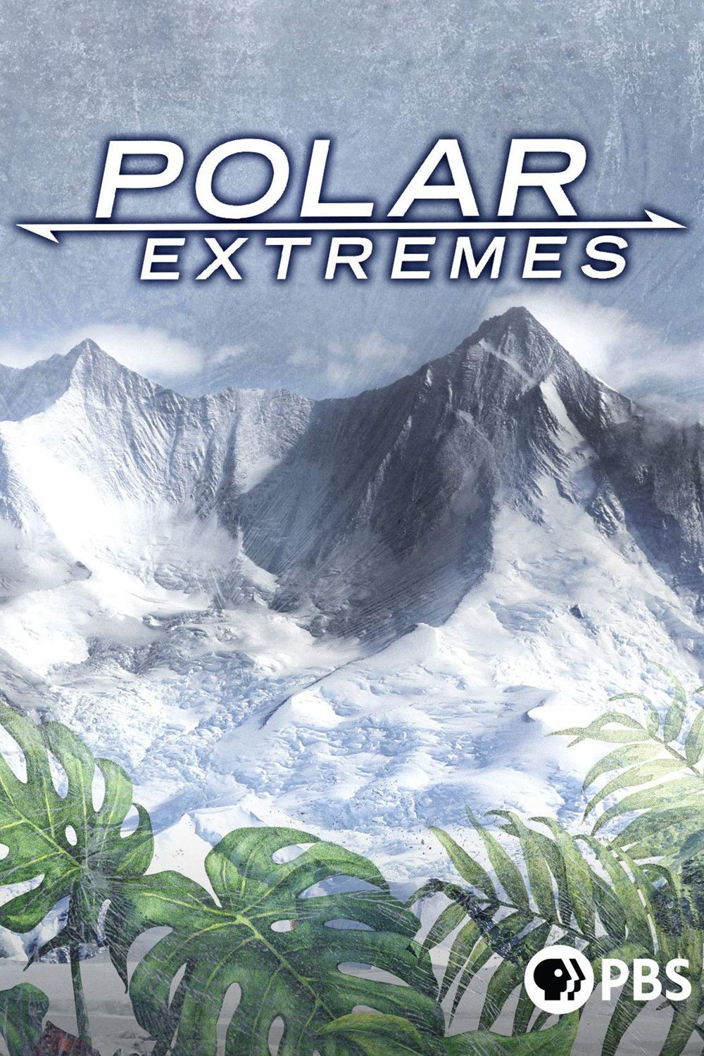 Poster for Polar Extremes