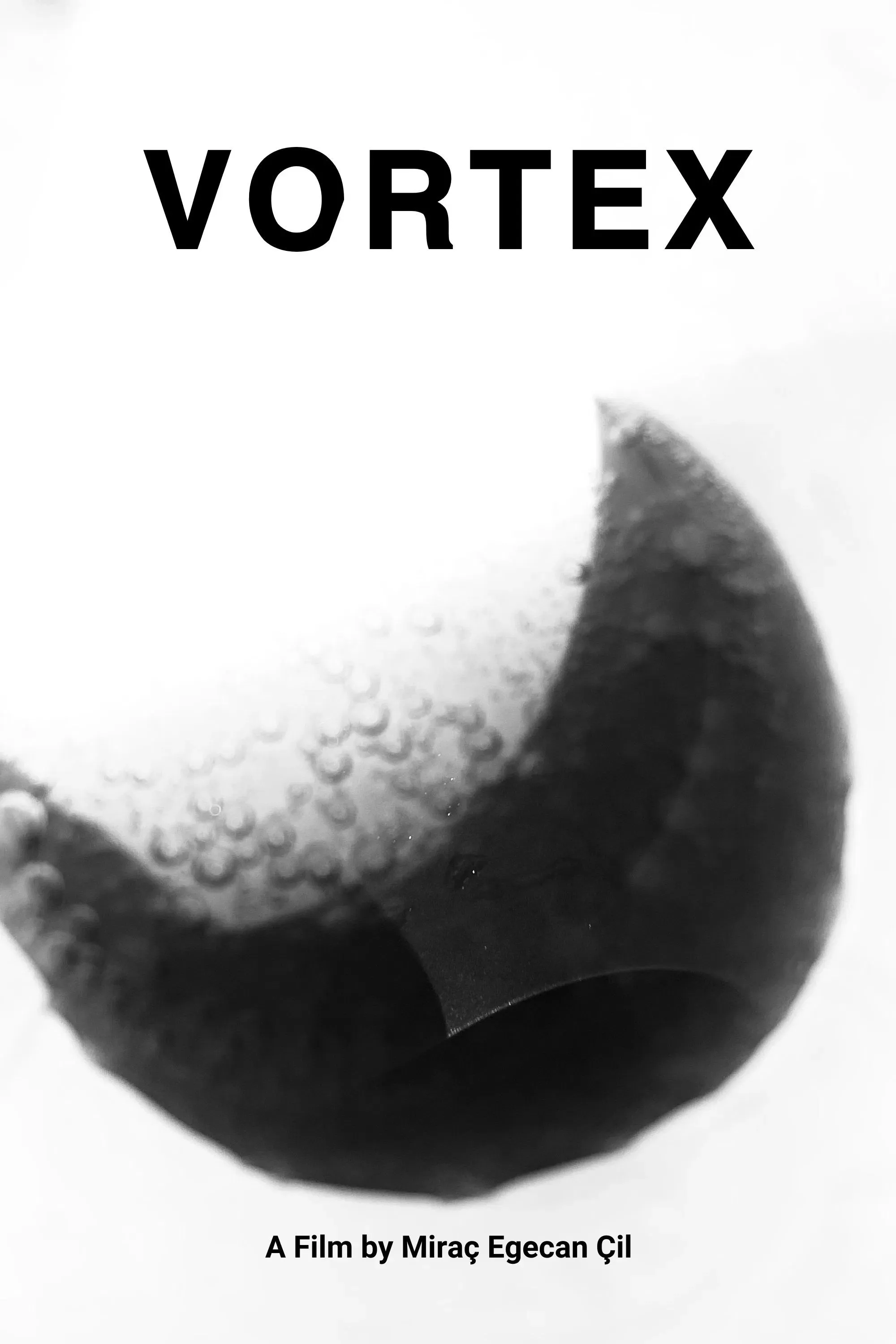 Poster of the movie Vortex