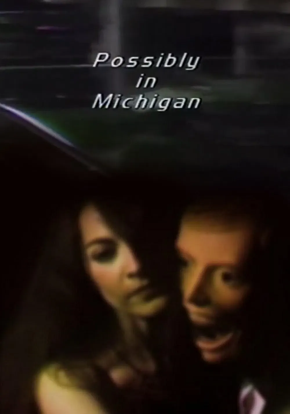 Poster of the movie Possibly in Michigan