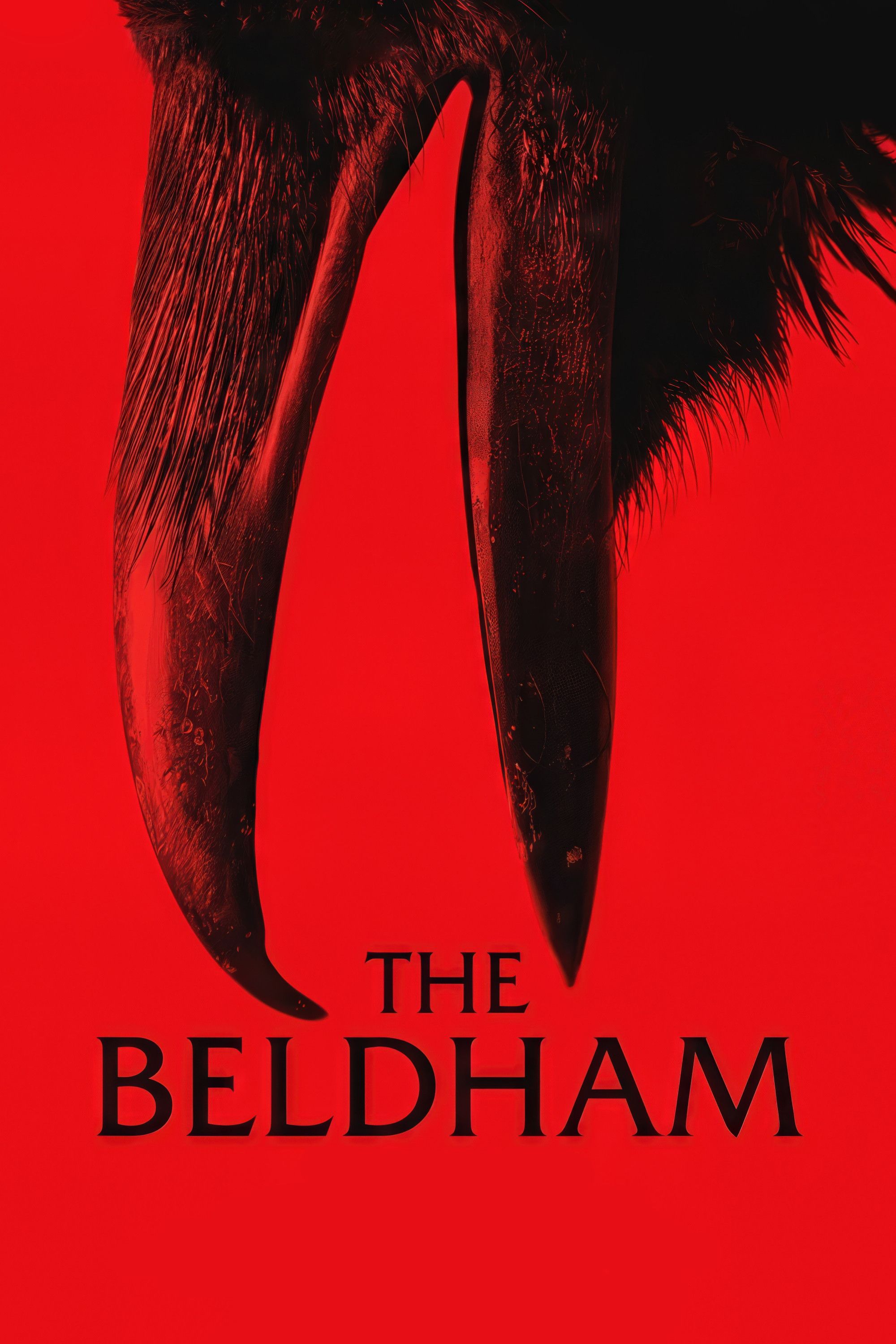 Poster of the movie The Beldham
