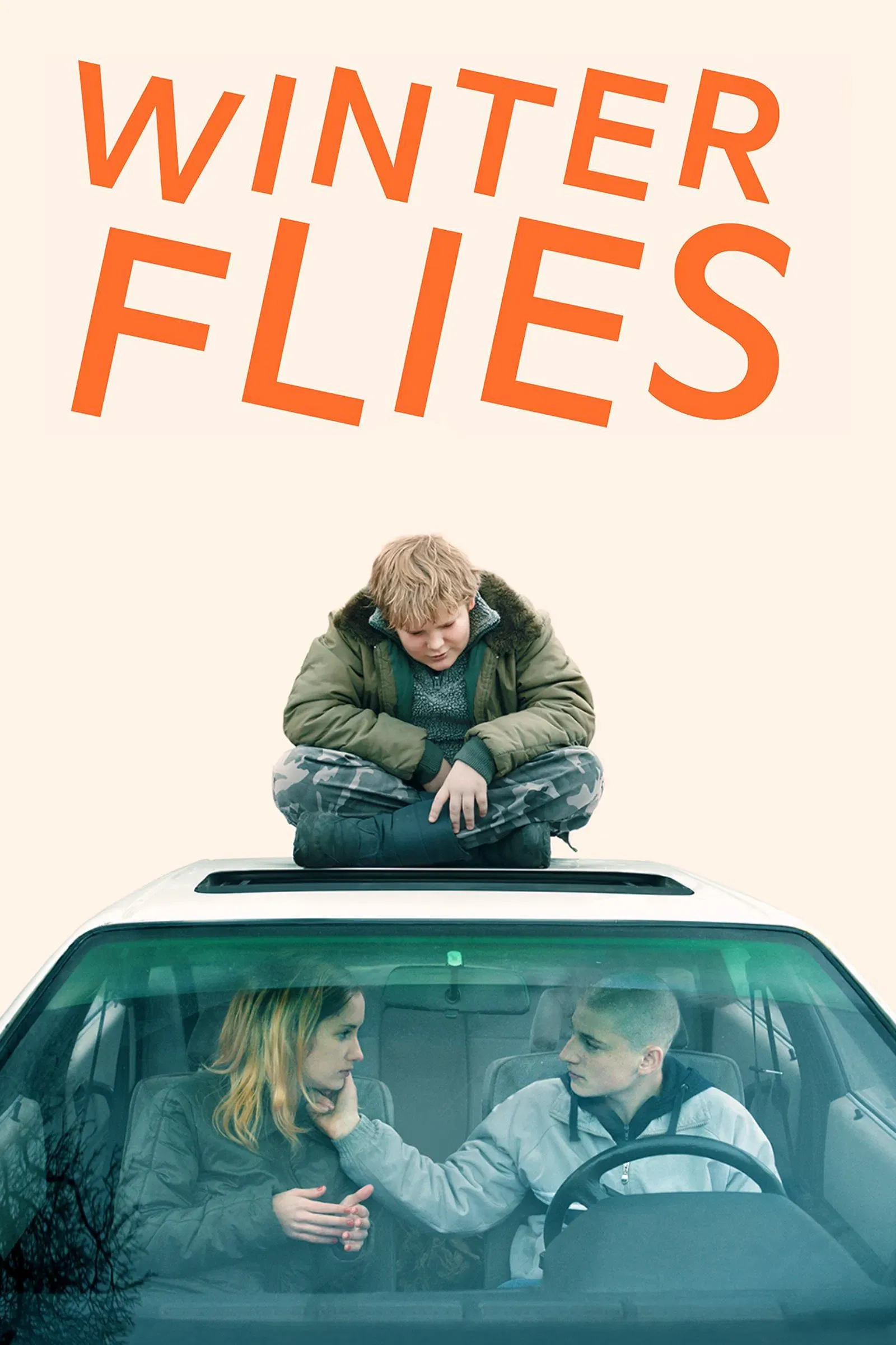 Poster of the movie Winter Flies