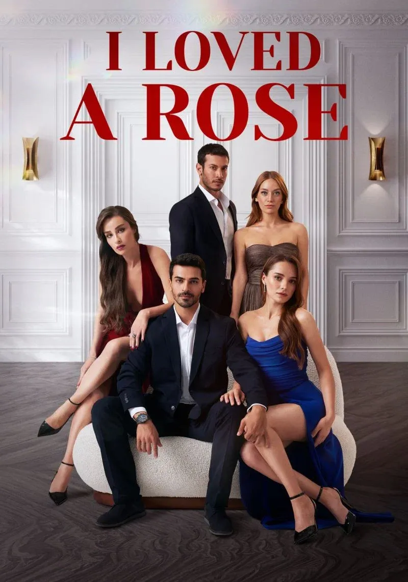 Poster of Ask Yarası