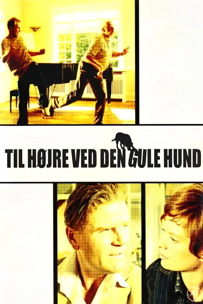 Poster of the movie Turn Right by the Yellow Dog