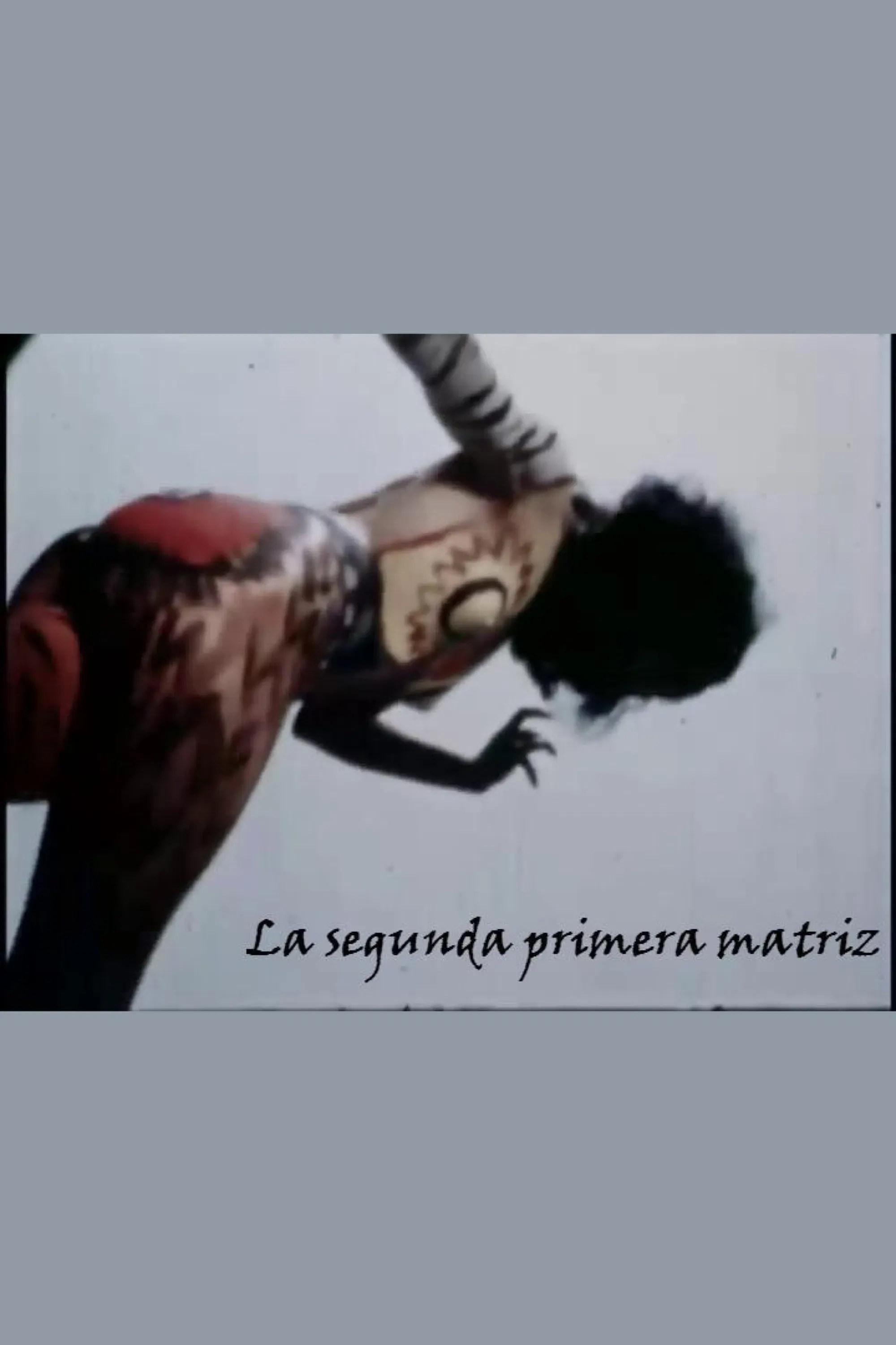 Poster of the movie La segunda primera matriz