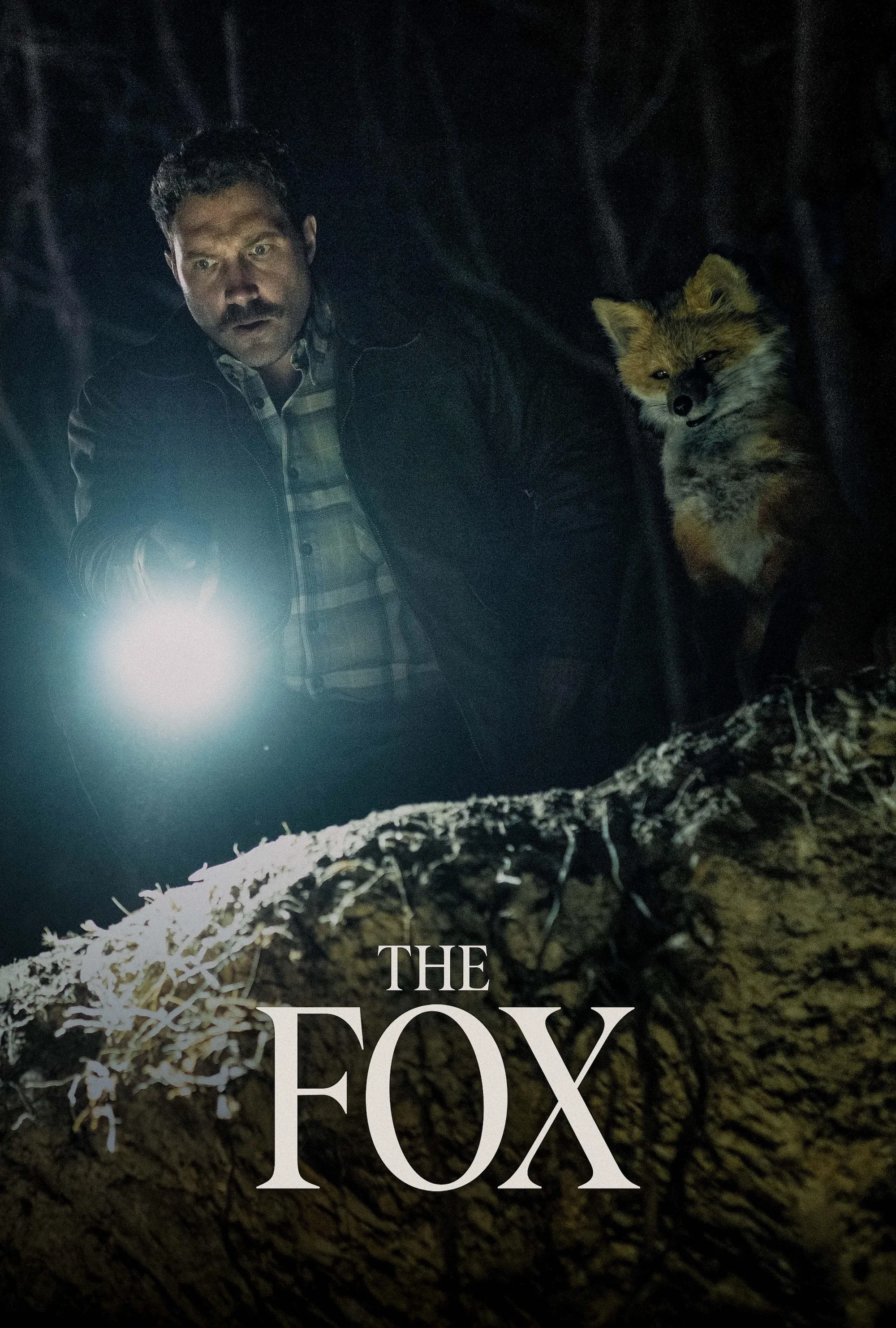 Poster for The Fox