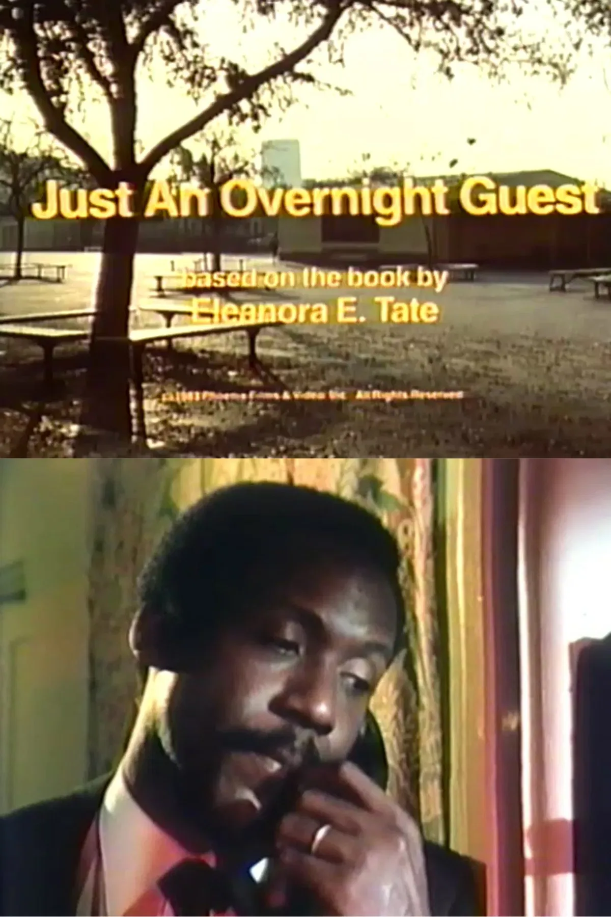 Poster of the movie Just an Overnight Guest