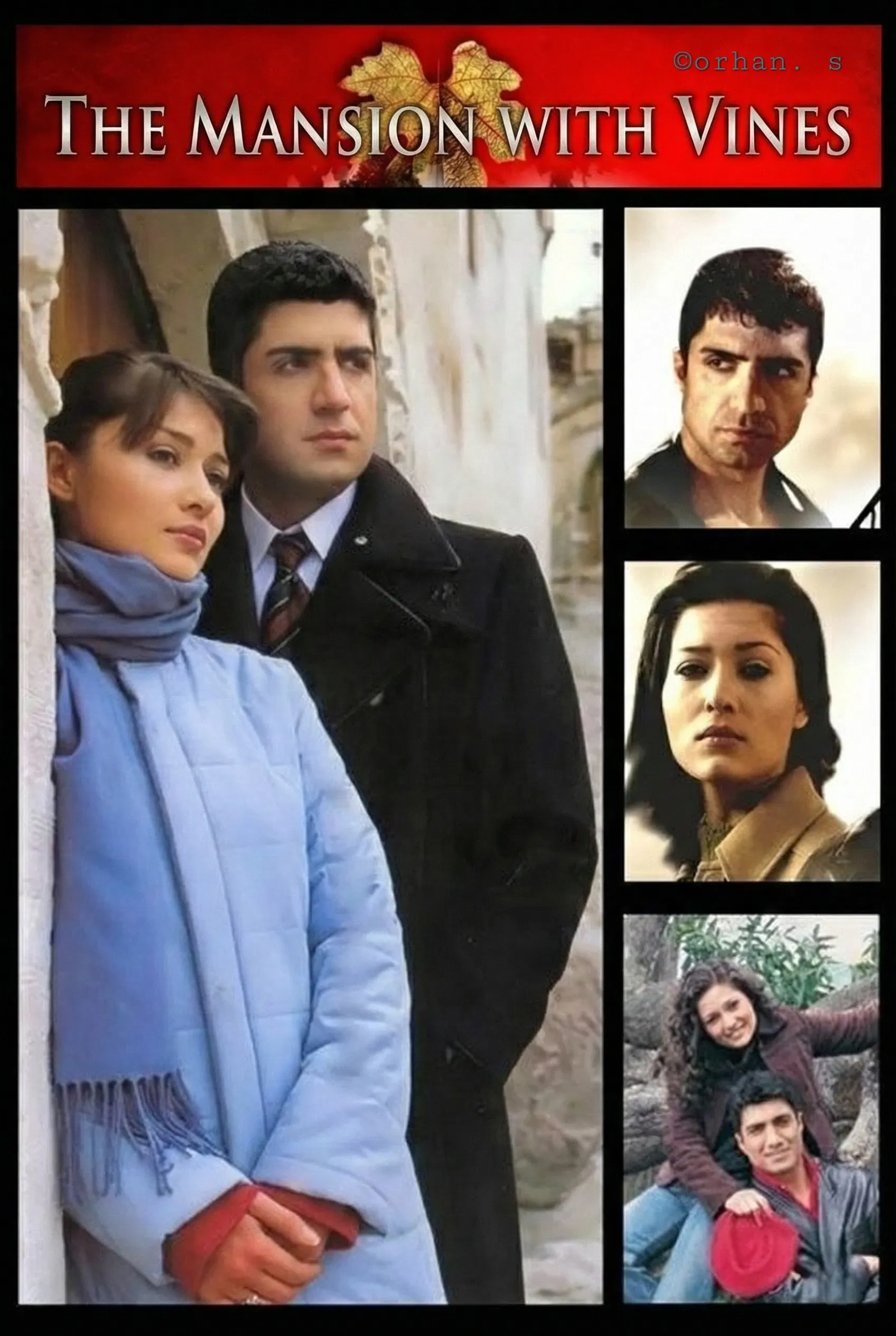 Poster of The Mansion With Vines