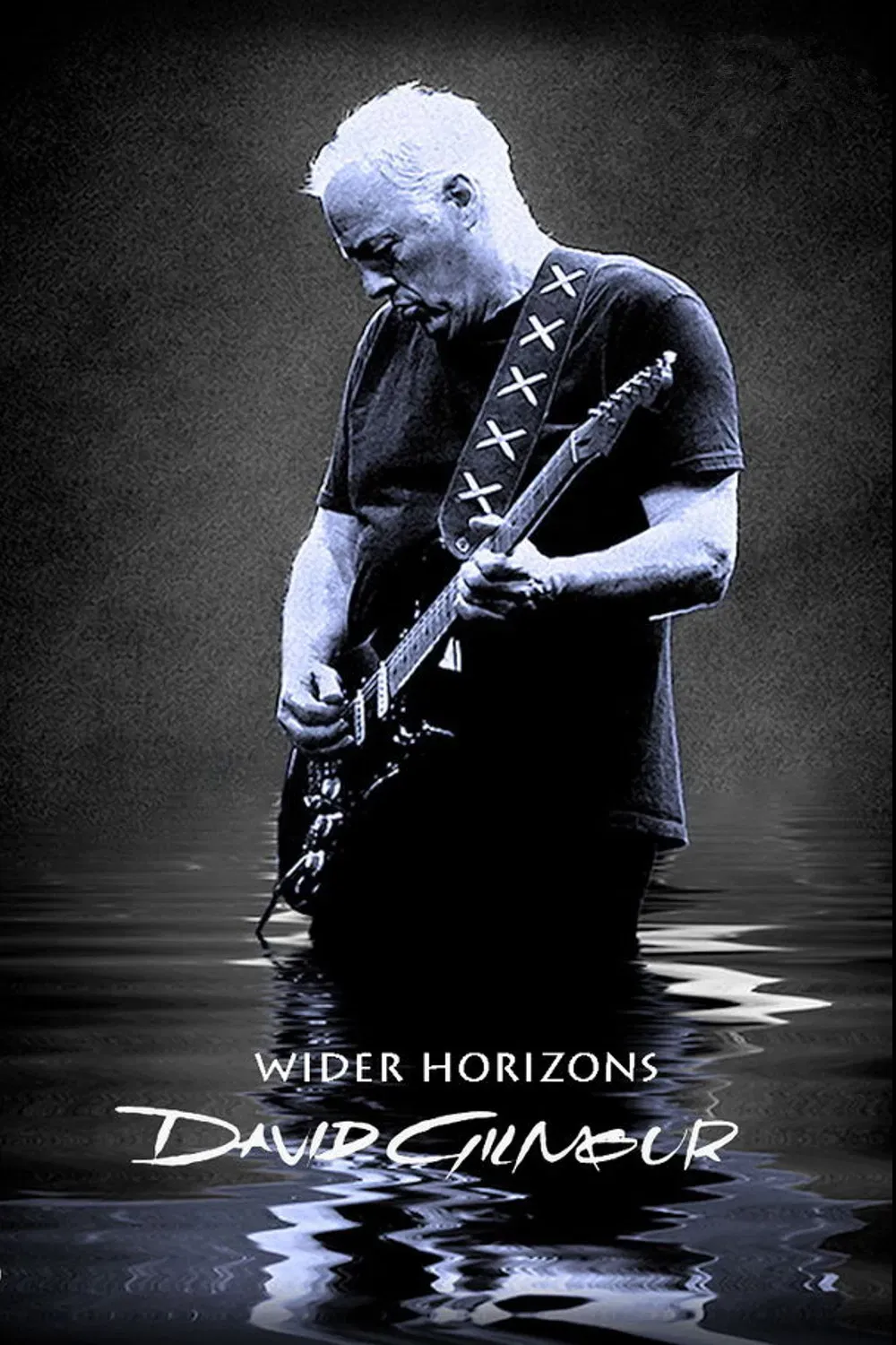 Poster of the movie David Gilmour: Wider Horizons