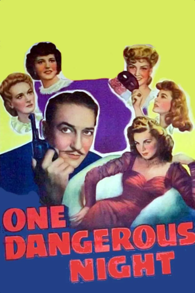 Poster of the movie One Dangerous Night