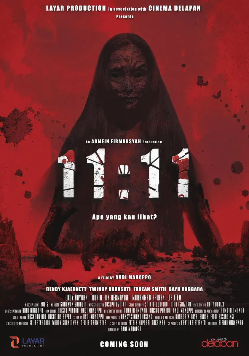 Poster of the movie 11:11: What Did You See?