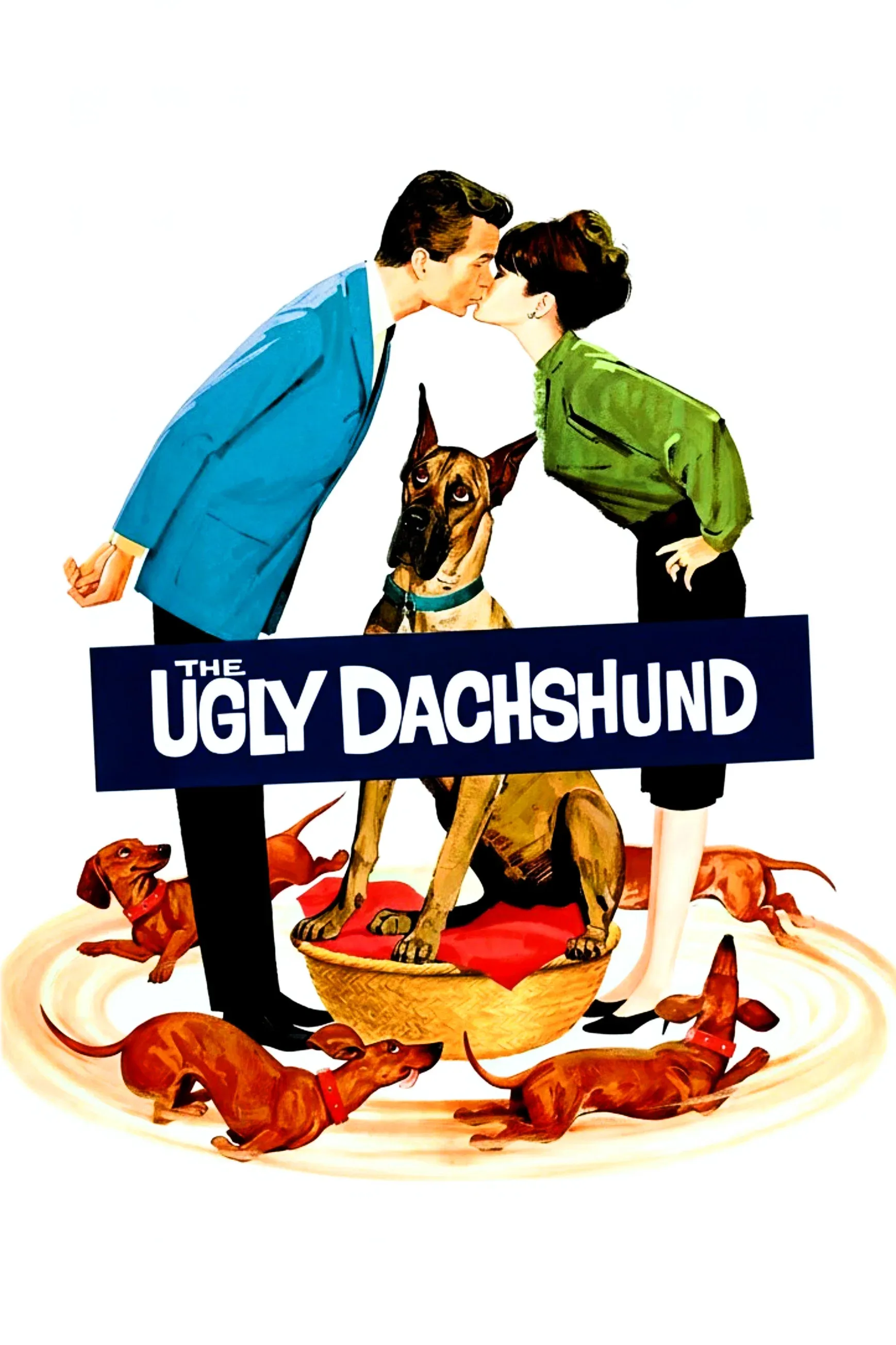Poster of the movie The Ugly Dachshund