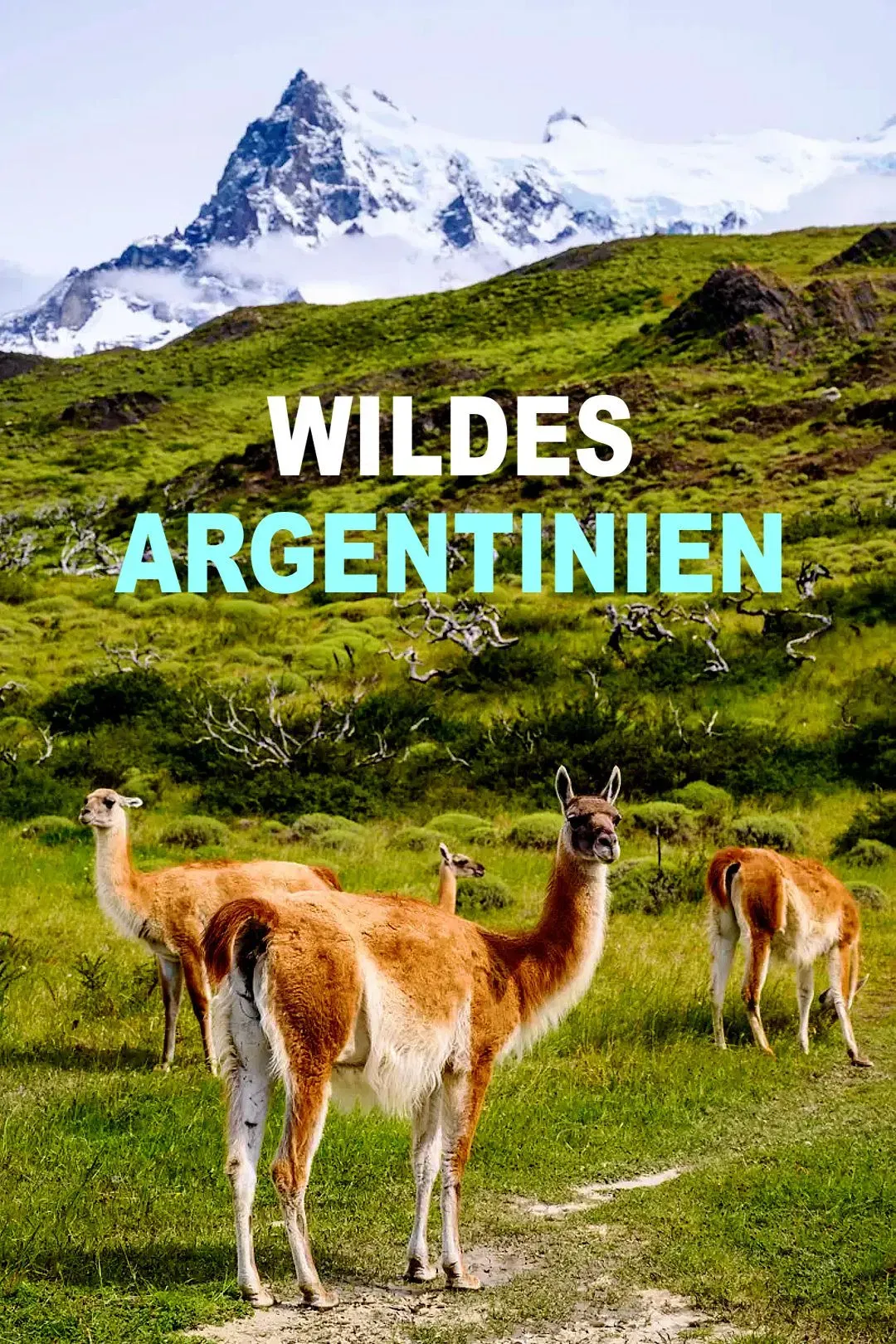 Poster of Wild Argentina: Extreme Earth