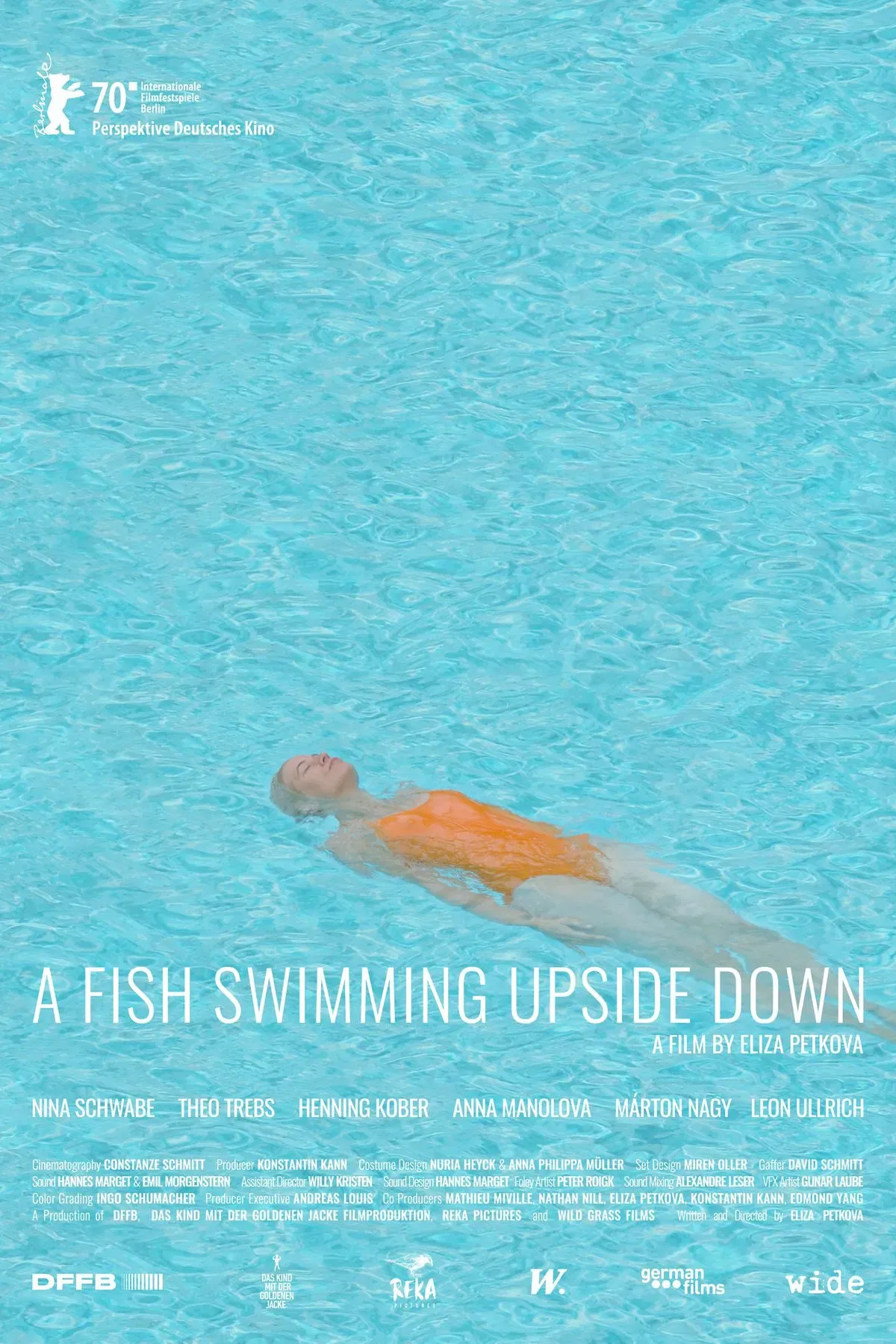Poster of the movie A Fish Swimming Upside Down