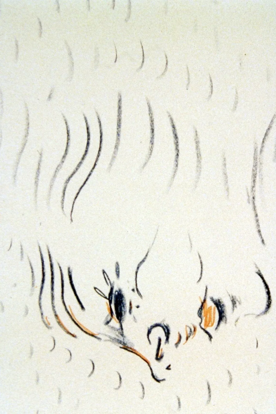 Poster for Musikalische Arabesken: Träumerei