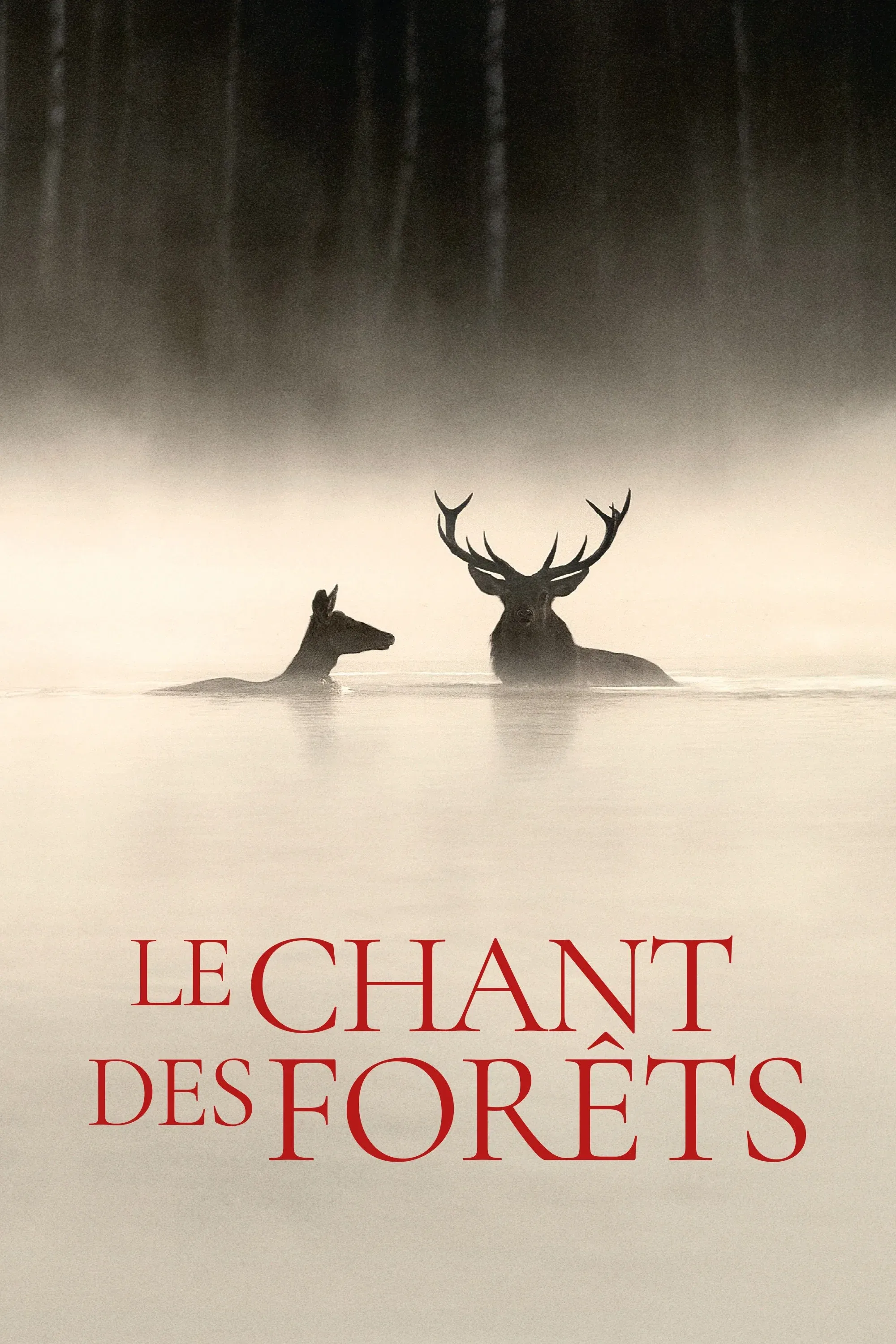 Poster for Whispers in the Woods