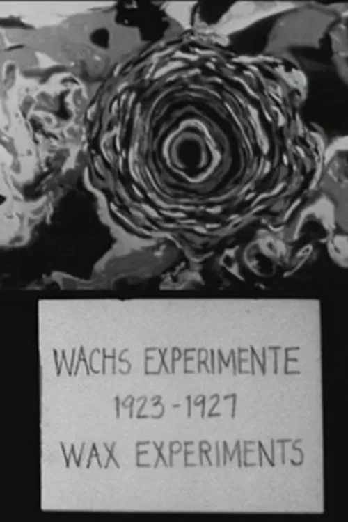 Poster of the movie Wax Experiments