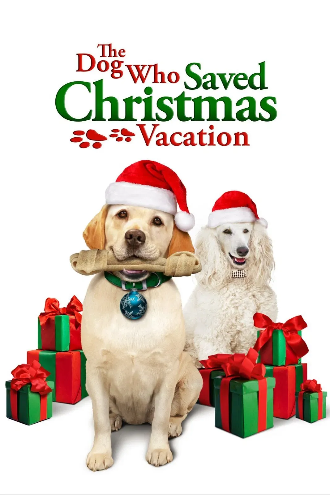 Poster of the movie The Dog Who Saved Christmas Vacation
