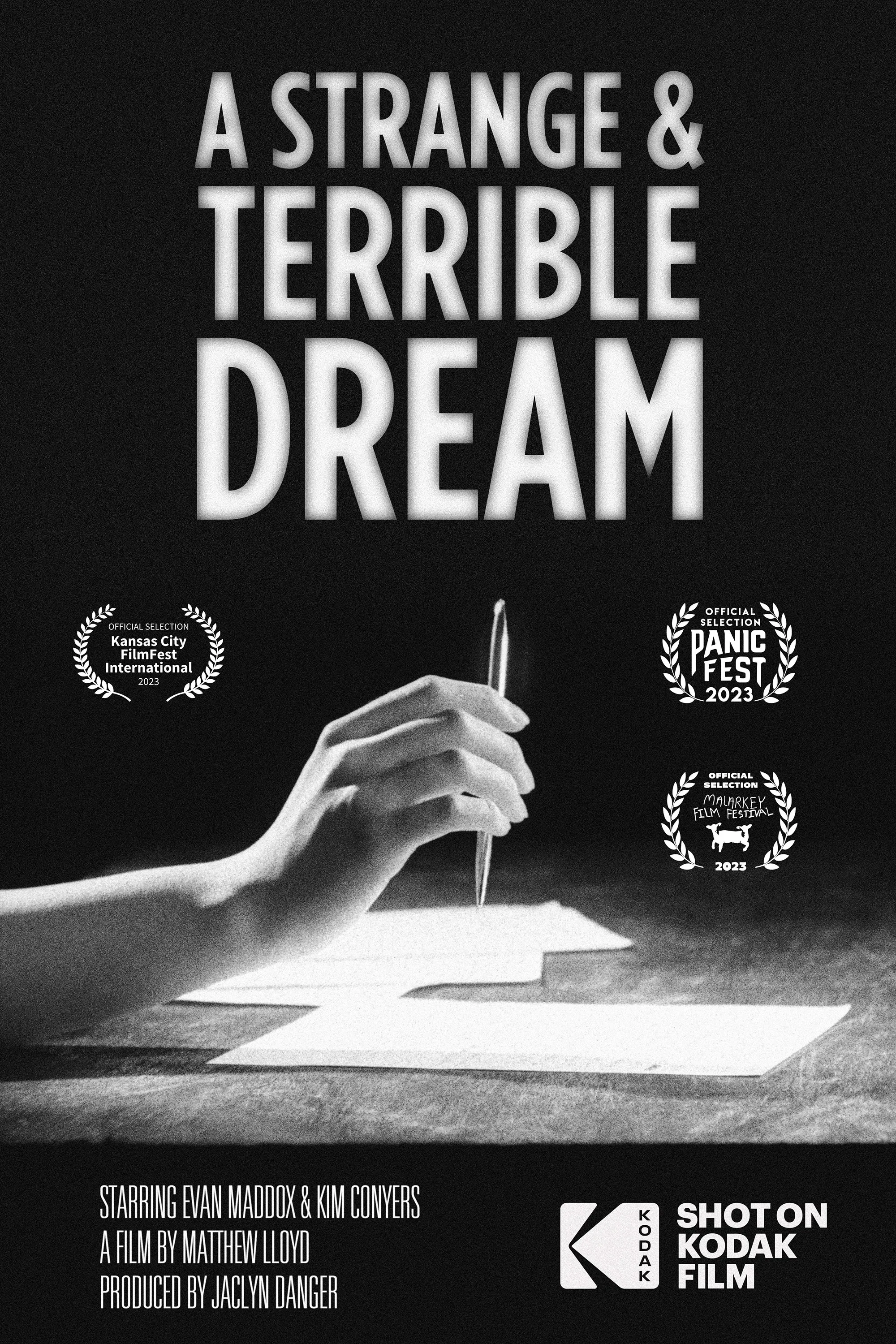 Poster of the movie A Strange and Terrible Dream