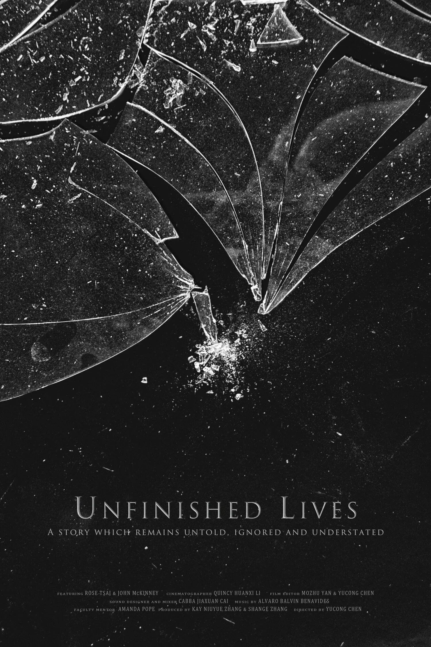 Poster for Unfinished Lives