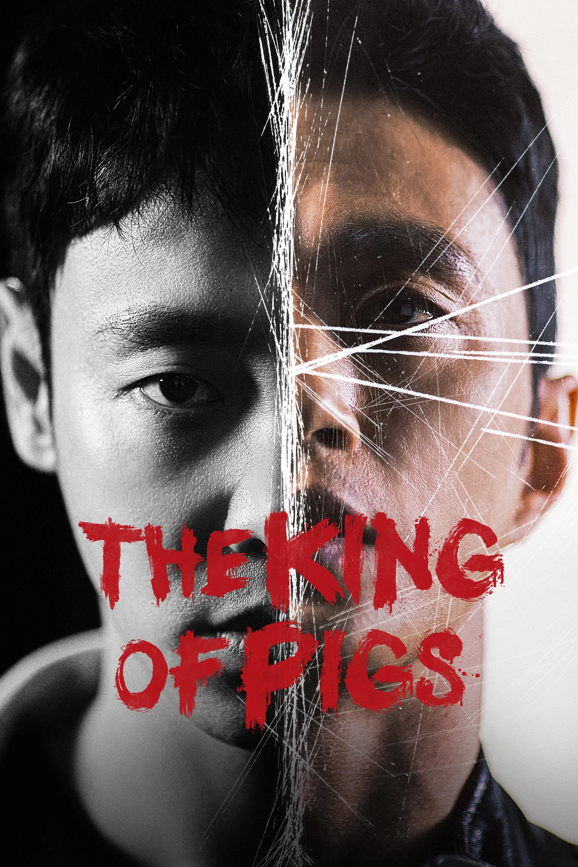 Poster of The King of Pigs