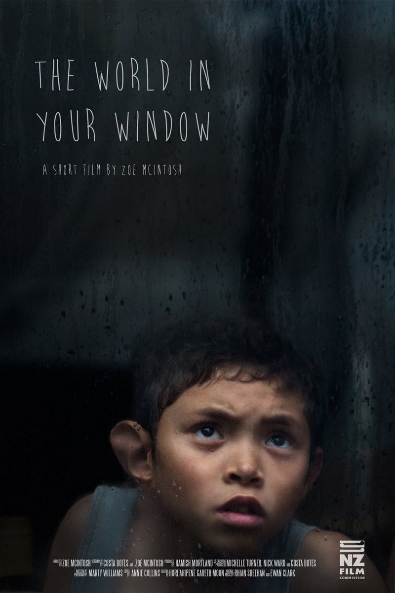Poster of the movie The World In Your Window