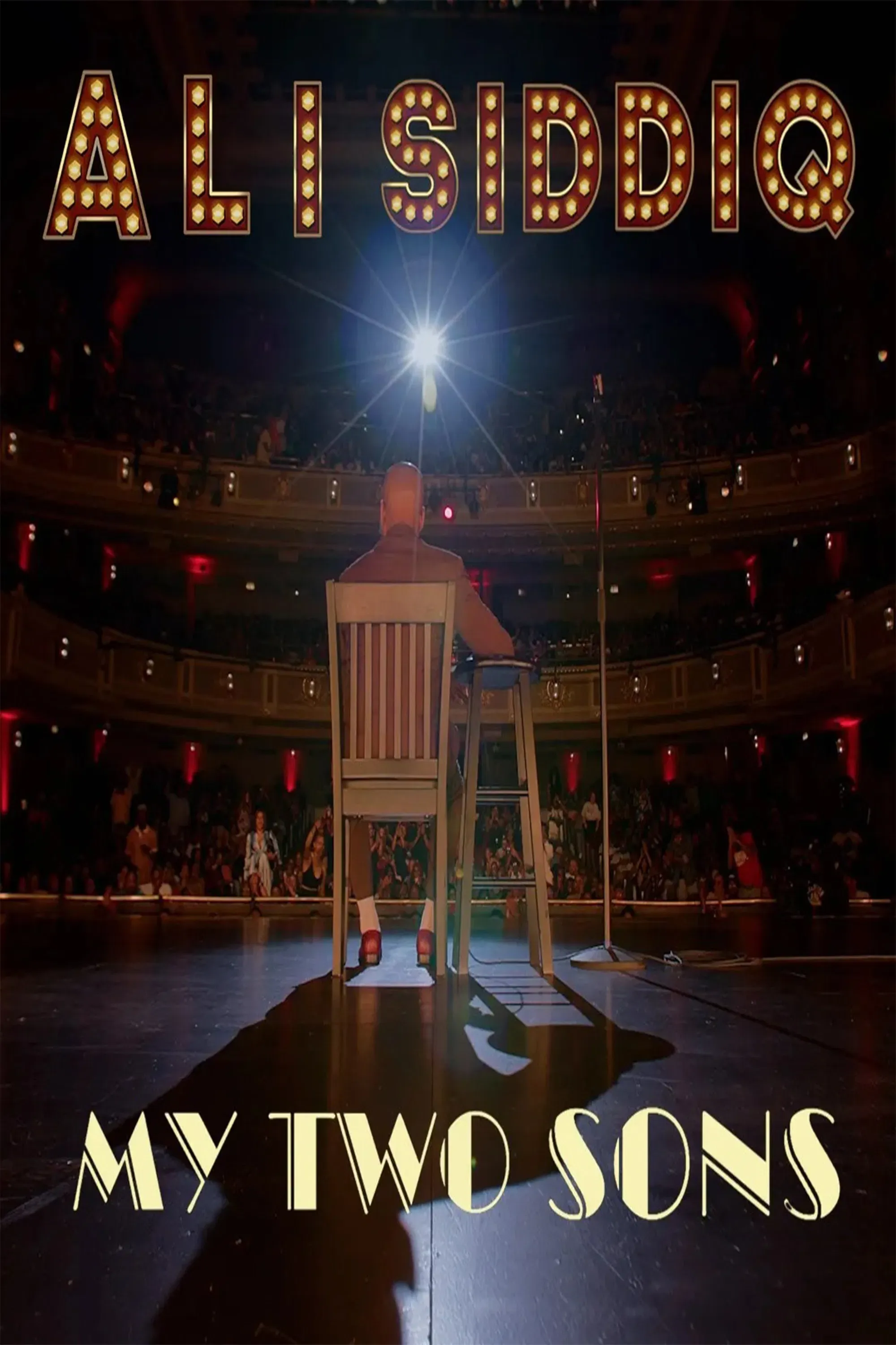 Poster of the movie Ali Siddiq: My Two Sons