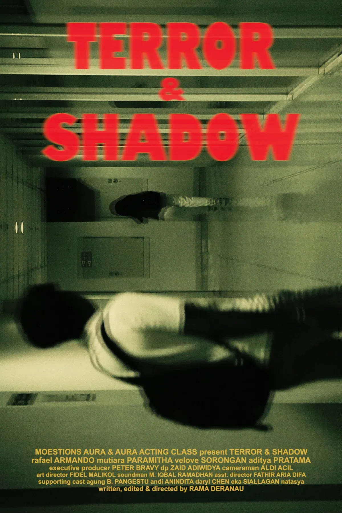 Poster for Terror & Shadow