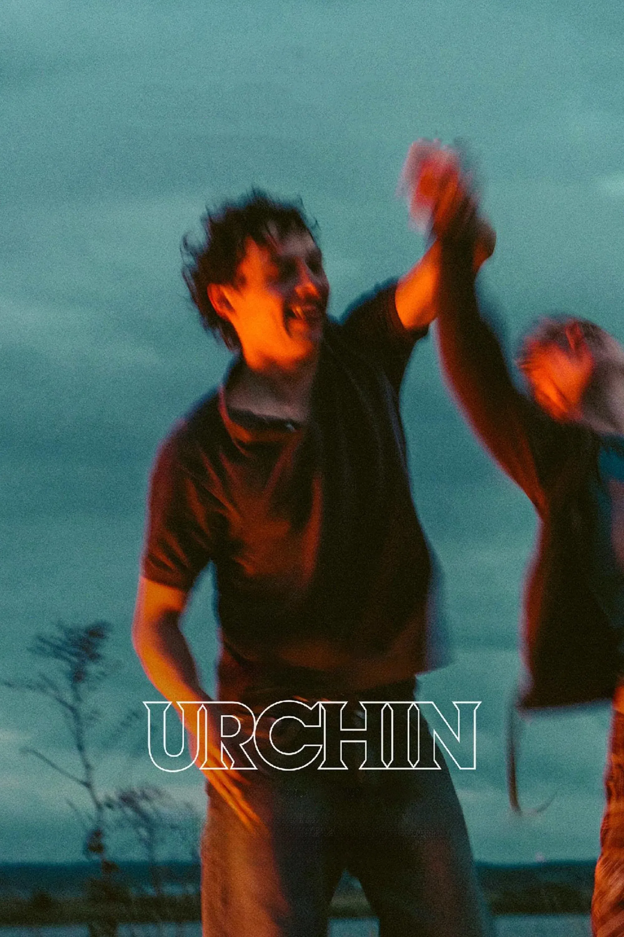 Poster of the movie Urchin