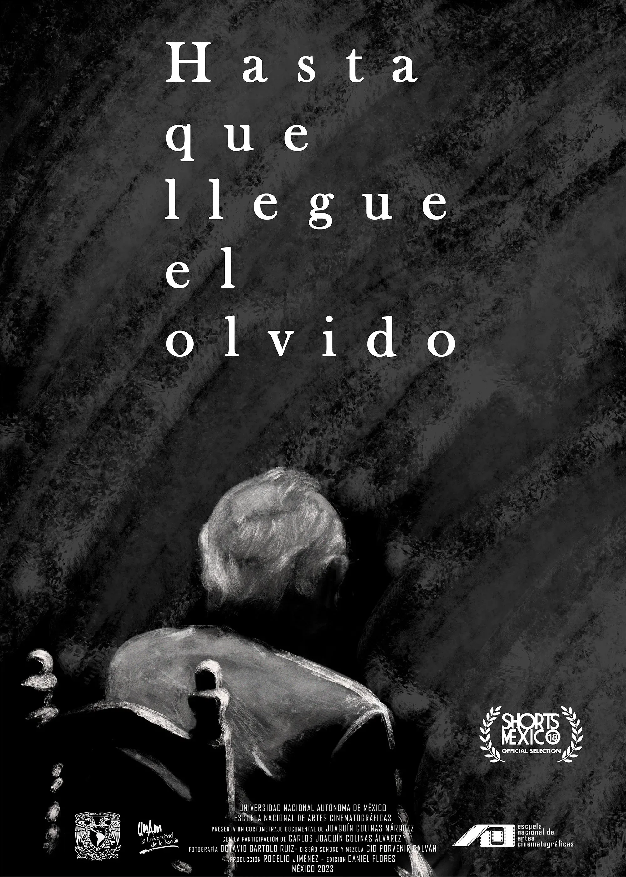 Poster for Until Memory Fades